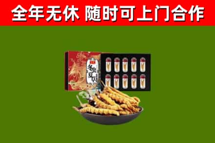 胶州回收冬虫夏草价格
